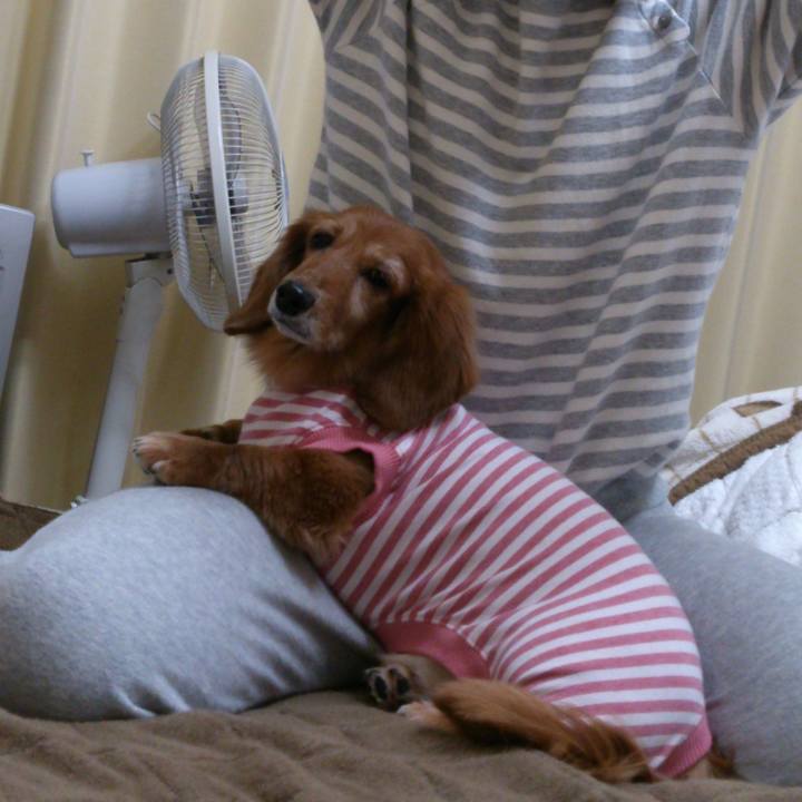 966f76fb ddf9 4834 bc6a 024bcbd615e6 1558458529126