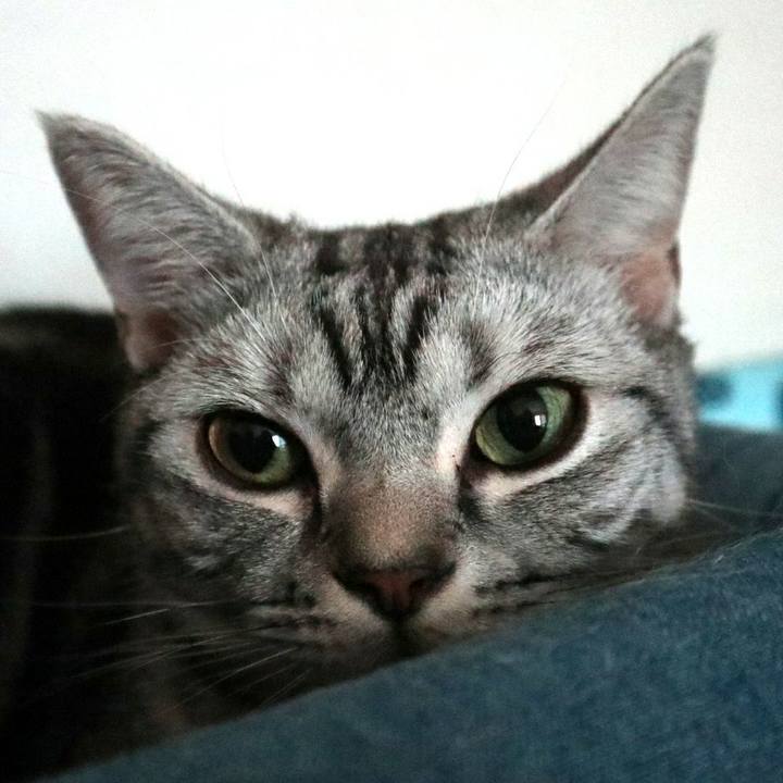 966f9edd 5299 41f4 8599 3a9998ae9fd2 1587168134916