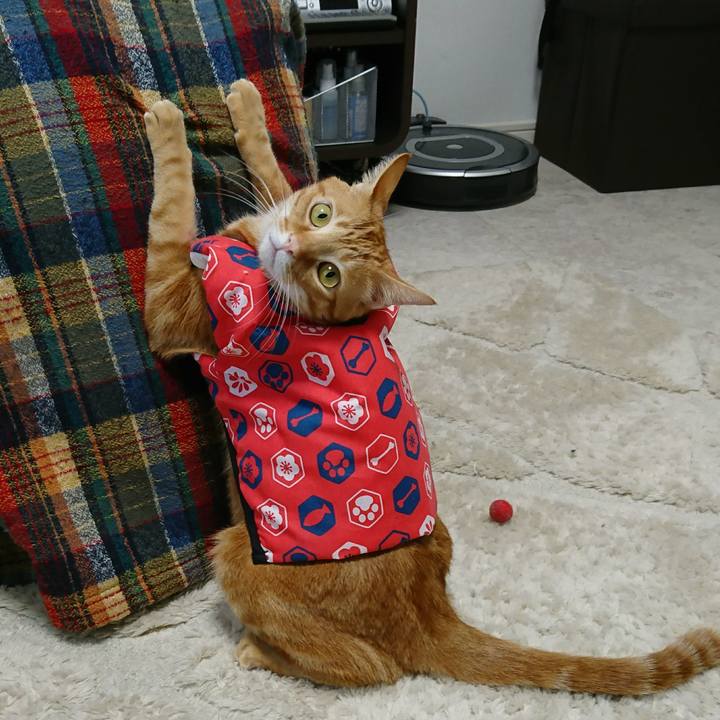 966feb3f f280 4a36 823c c201ff1495d7 1511594556293