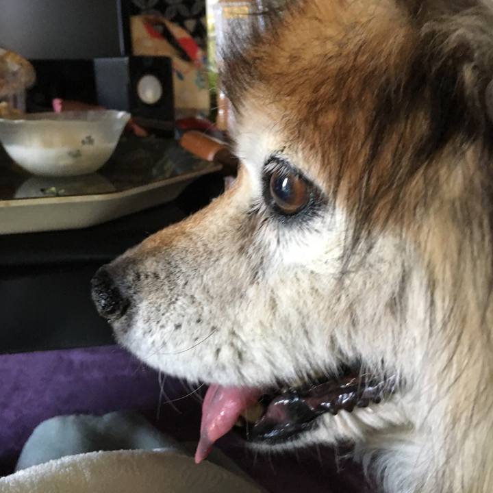 9670114f 8fec 400f be2e 07102c032365 1557901701426