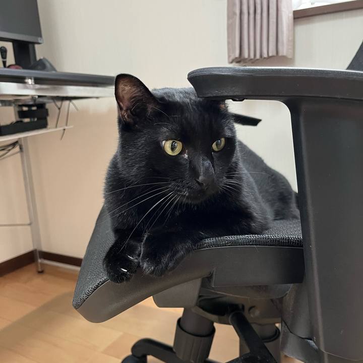 9670594e 89cf 412c b923 87524263db79 1689382347900