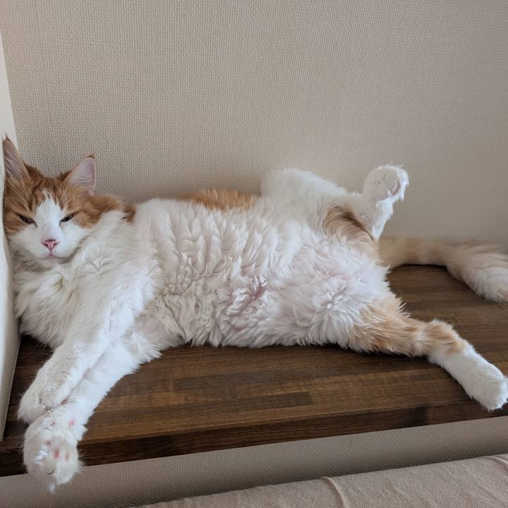 9670adaf f671 4ea4 9f2d 6edb55b53707 1756957461575