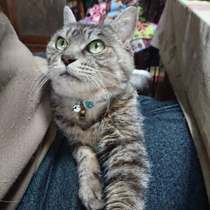 9671091d bcb6 4e0c ad20 70e7141fbaf8 1606829210121