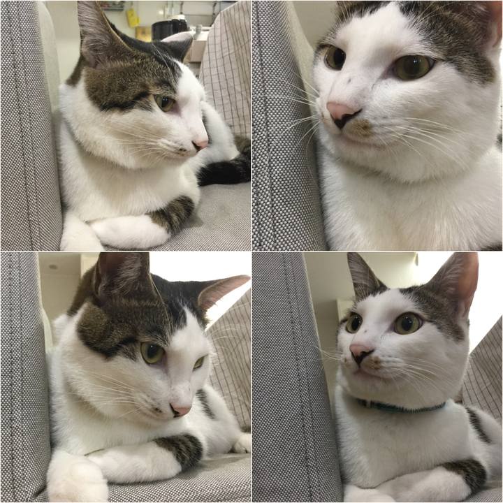 96711a43 4704 4ac3 91f7 033022d7ee4e 1509579912147