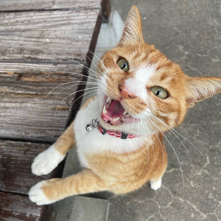 96711ab1 9bd1 485a b1cd 9300714ba4b4 1746098169434