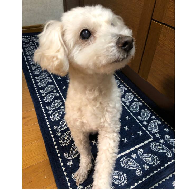 967145b5 9c78 4e97 b566 886b3f32292e 1553956316521