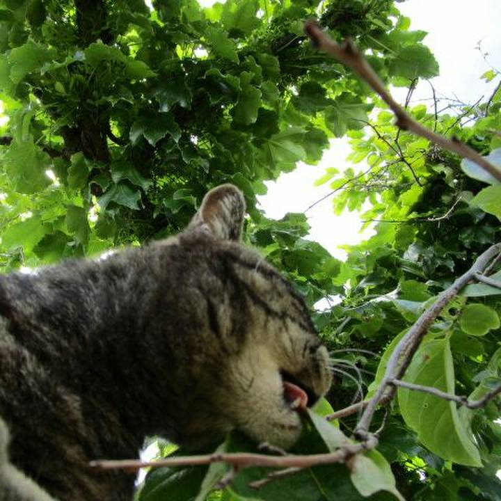 9671ed33 9ac4 441b be83 ba9bcc0b2889 1559218526225