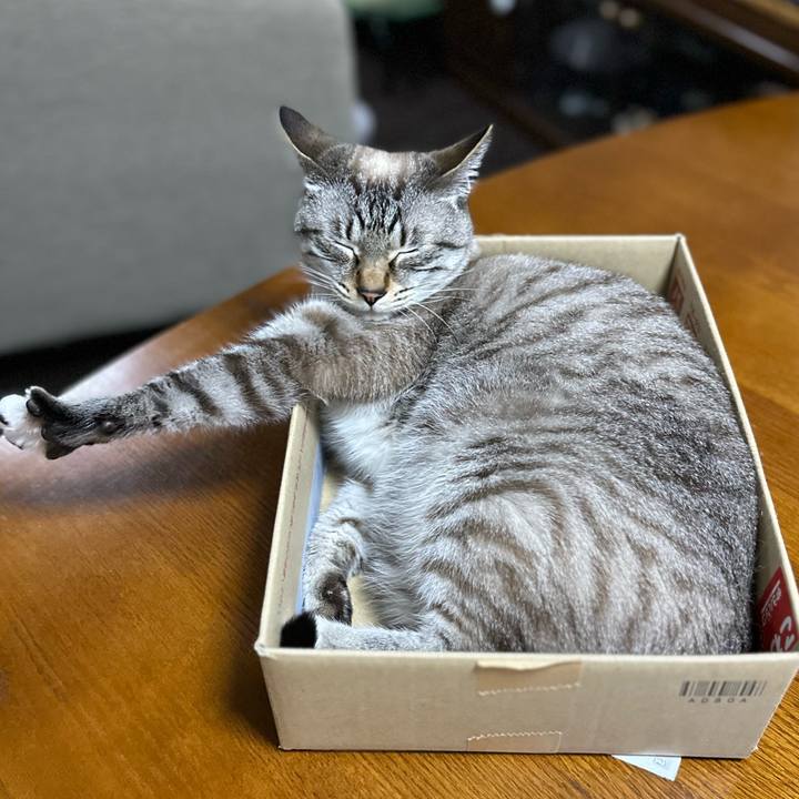 9671f0d1 8a17 4896 a9b0 d454bc3cfd99 1685448318720