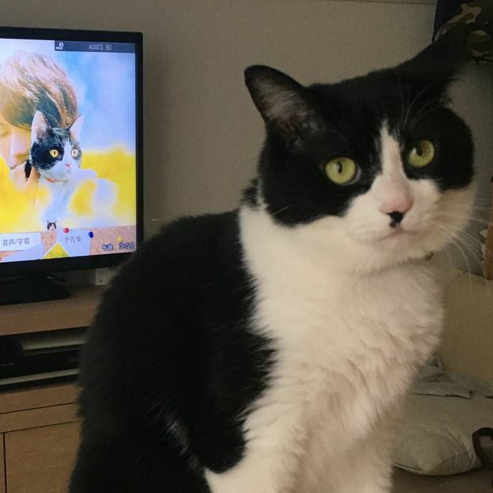 96720b71 d66f 4bca 8f1a 3cb285cc0ce5 1558223100530