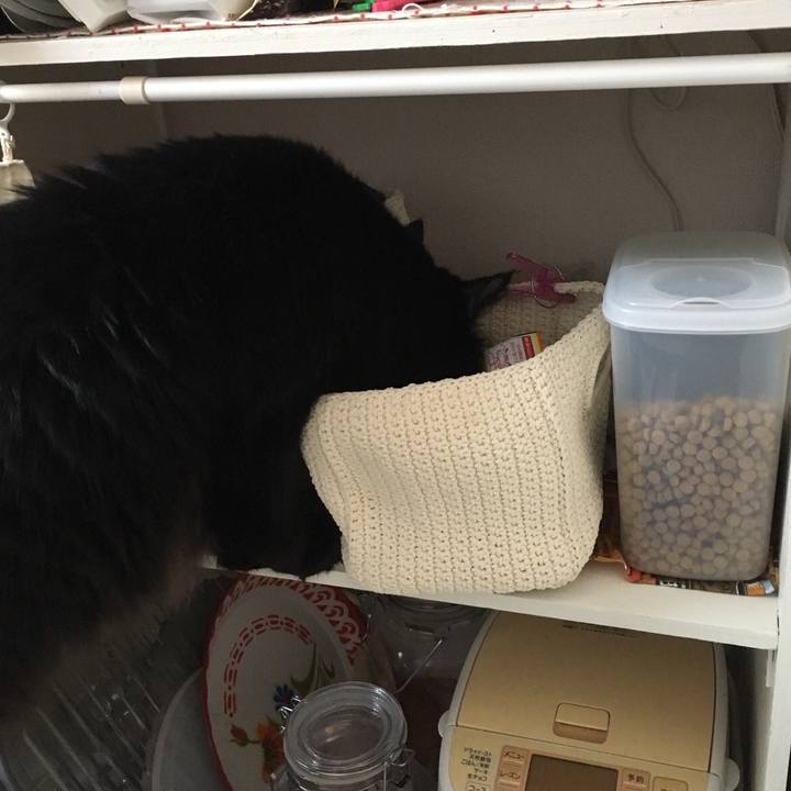 96722983 f37c 4786 ace7 f9b764f178a3 1515133922733