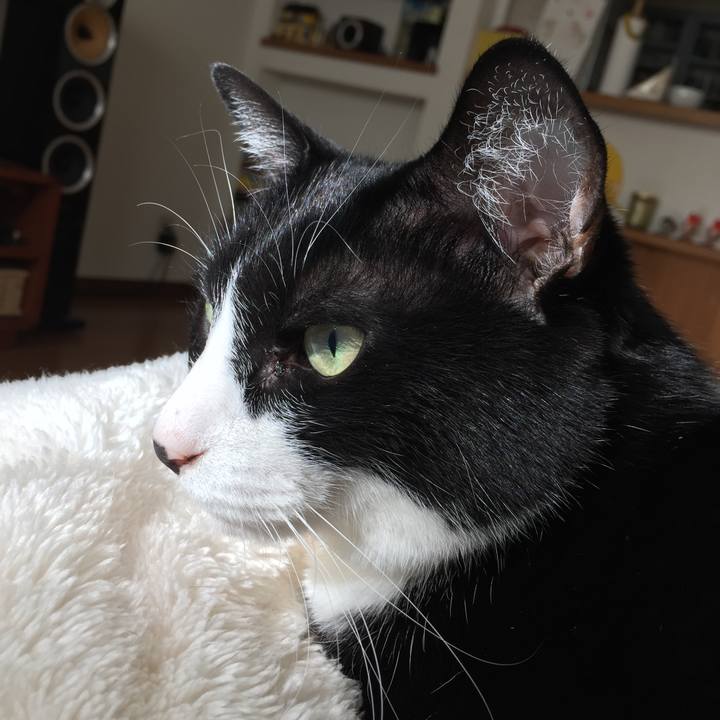 967242b5 af96 409b ae4f a719ab5193ba 1514723281020