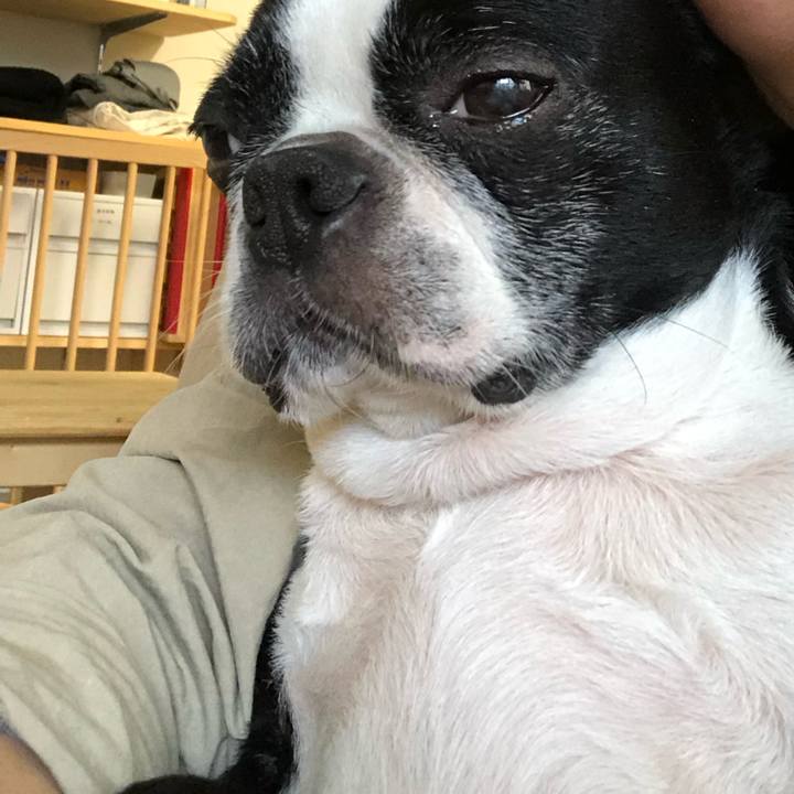 96724de7 75bc 401c 8caf e1630e167e77 1649463727345