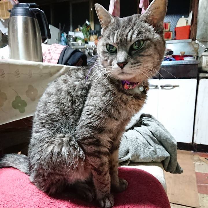 96729883 e8ff 4447 ad79 b8805b715c60 1579208812025