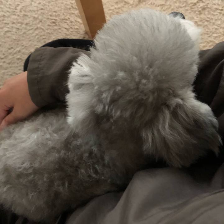 9672a0c2 4101 479c 865d aefffa561fda 1576729399679