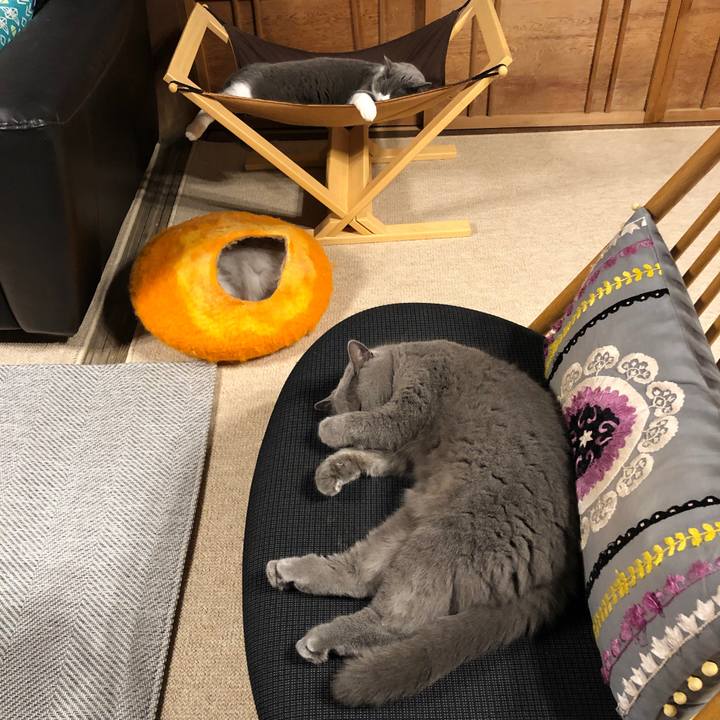 9672bf4d ac76 4038 916c cc3d6ceb618a 1554555968978