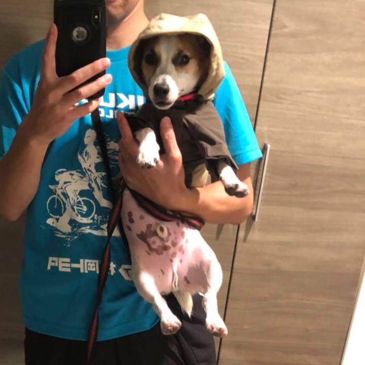 9672d171 cb19 404f b58f 170b2928a973 1565865120279