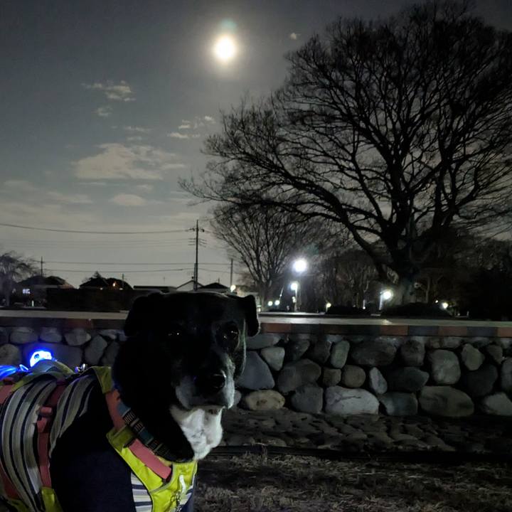 967327f4 5b26 48fc be1b 953ed1c2bd26 1770030390637