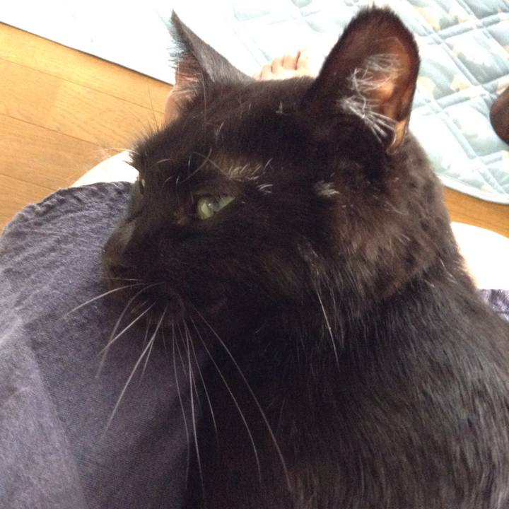 9673349c cb74 4825 9605 09f2c221d836 1533367867823