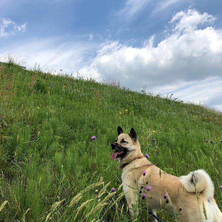 967334d5 e1aa 45c8 aef4 a2d7c45146ba 1525322739966