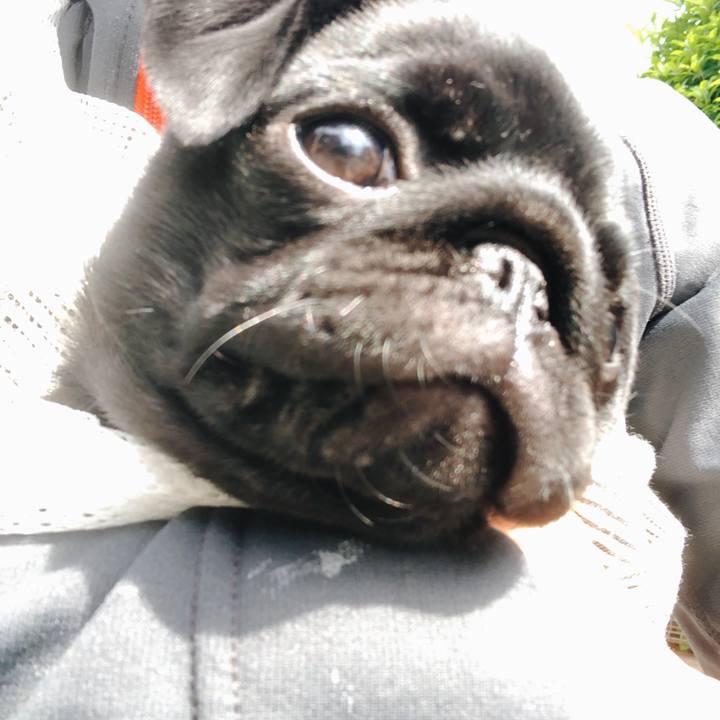 967357c9 bf22 462e bf47 bbaf5e26fa23 1589069721352