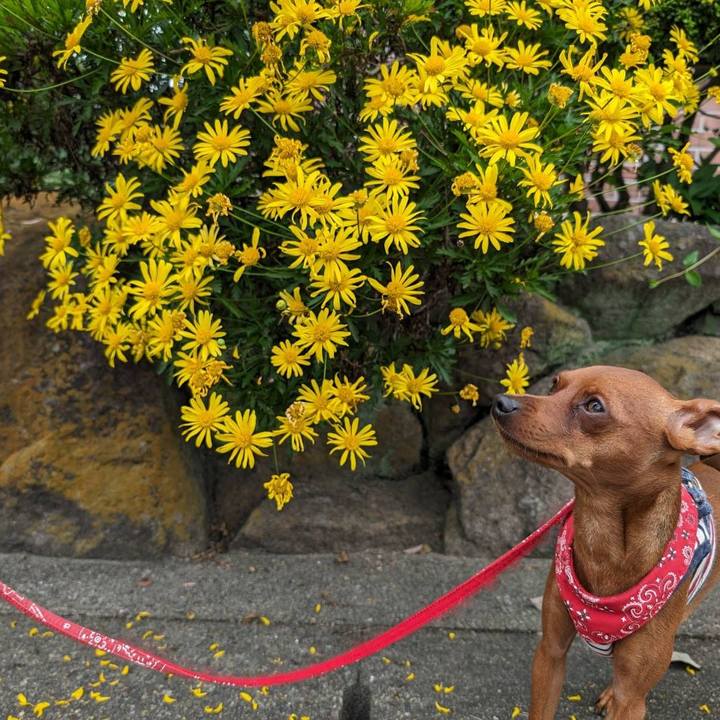 9673d172 f1a7 4b16 b209 cbe54b7c811d 1714377735217