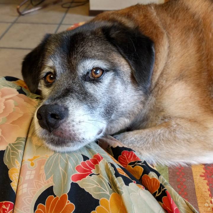 96742069 bab6 40b6 98b5 e491be483f45 1531291585311