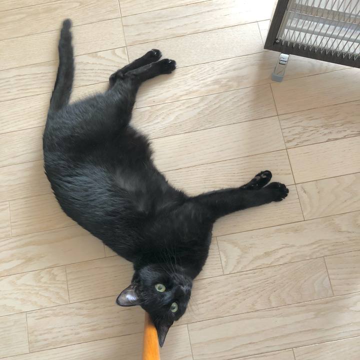 967436f2 5efa 4471 a466 b93a0b81e5bf 1615080279960