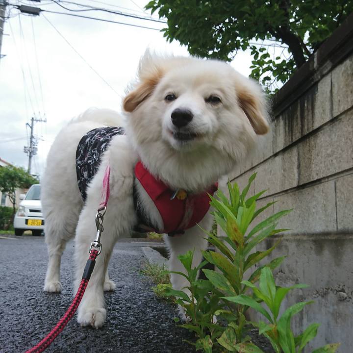 96747cac d98c 481b aac7 1e497bc32e37 1538342849467