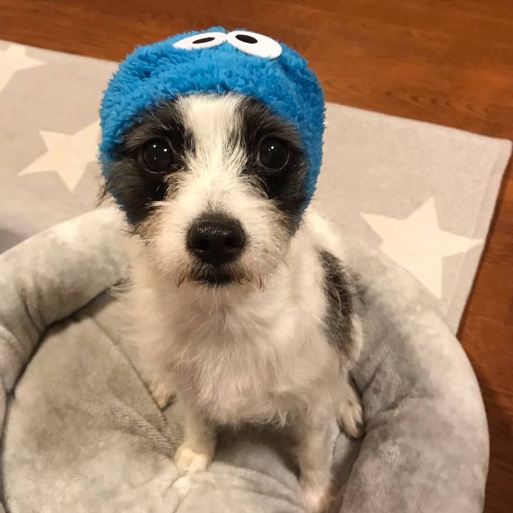 967481f9 049b 406a bb1b d56e2dd794fe 1539430053574