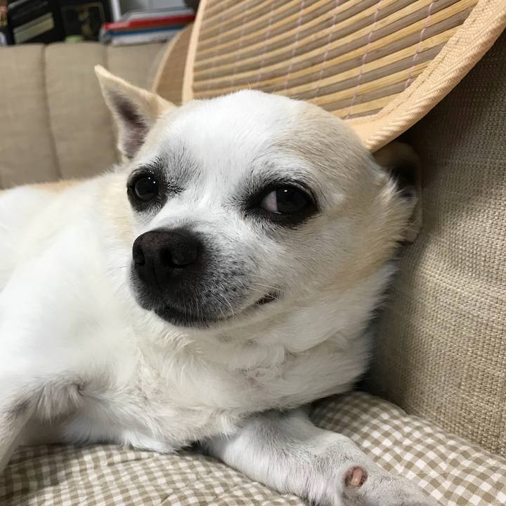 967494b6 b08c 4bb5 a335 f164954dba78 1527764545743