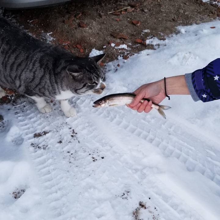 9674b395 19e0 48ca 97ec 174a3973efbb 1609161004771