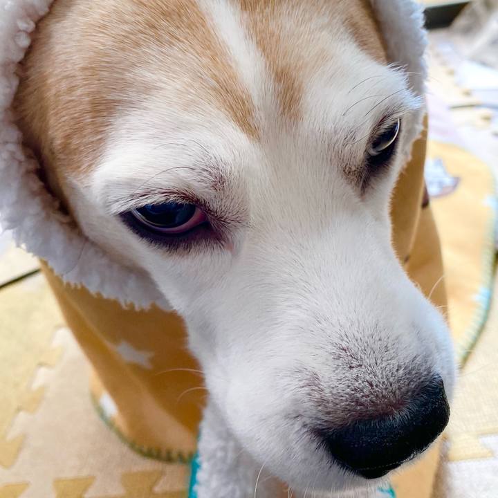 9674cb9c 36b4 4940 a0b2 083201c328ef 1614225126771