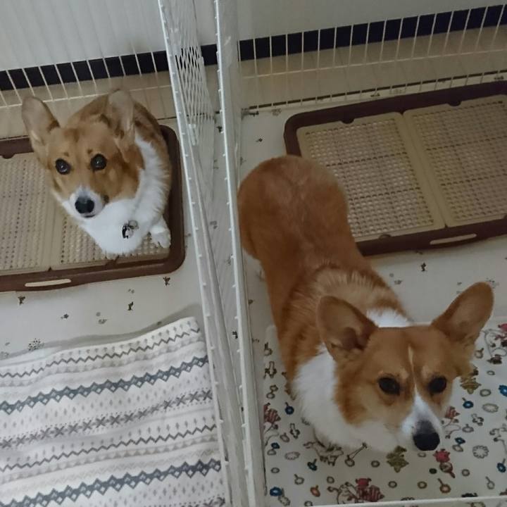 967502d0 033f 4085 bf50 60b770484061 1545540885374