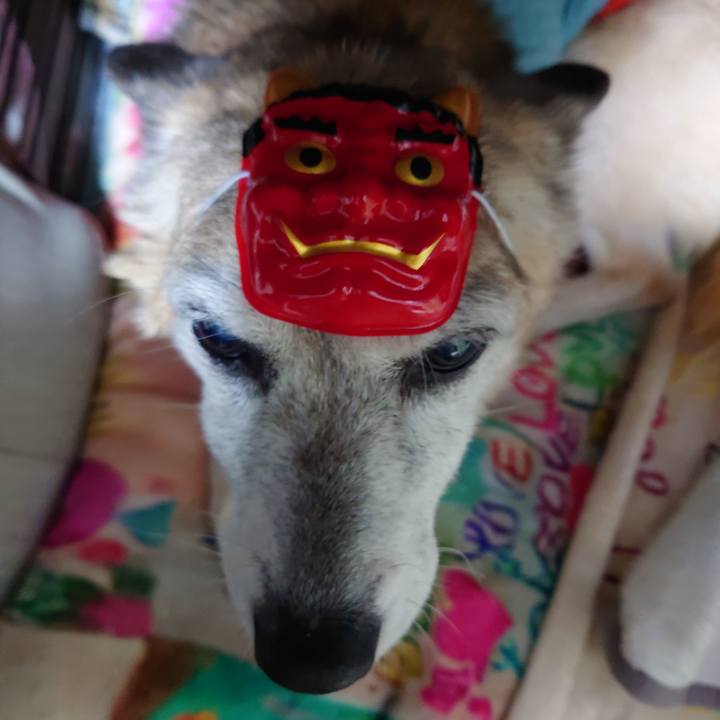 9675137f 786b 498e 9d49 d41e39e451cc 1738494304782