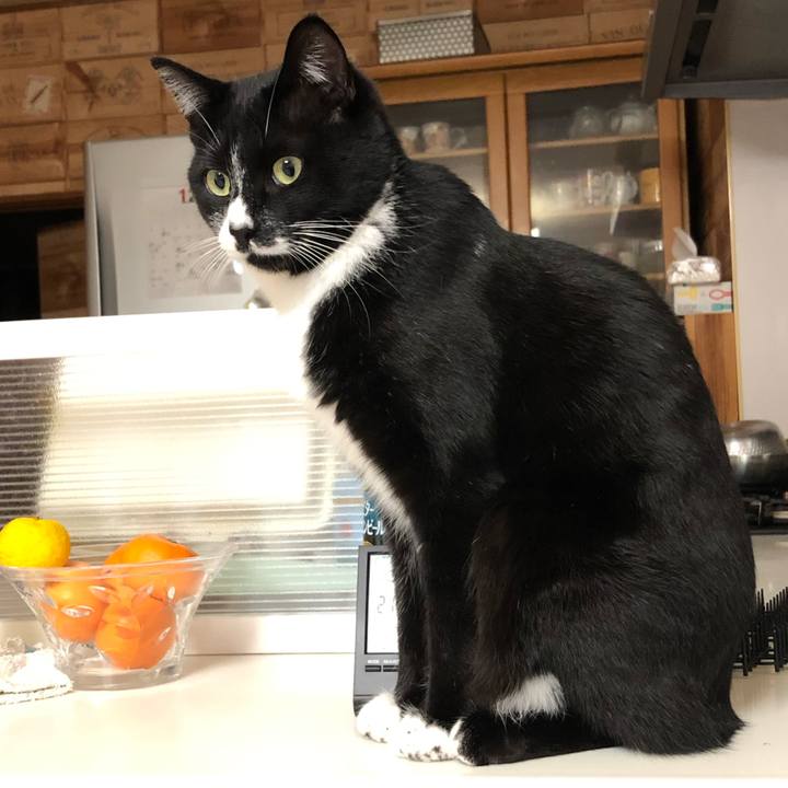 9675a4c2 a92e 4cb5 9f74 fb741ca65a52 1547179027774