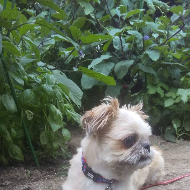 9675f850 5e27 44aa b81b cbdf1e8496c7 1751714070830