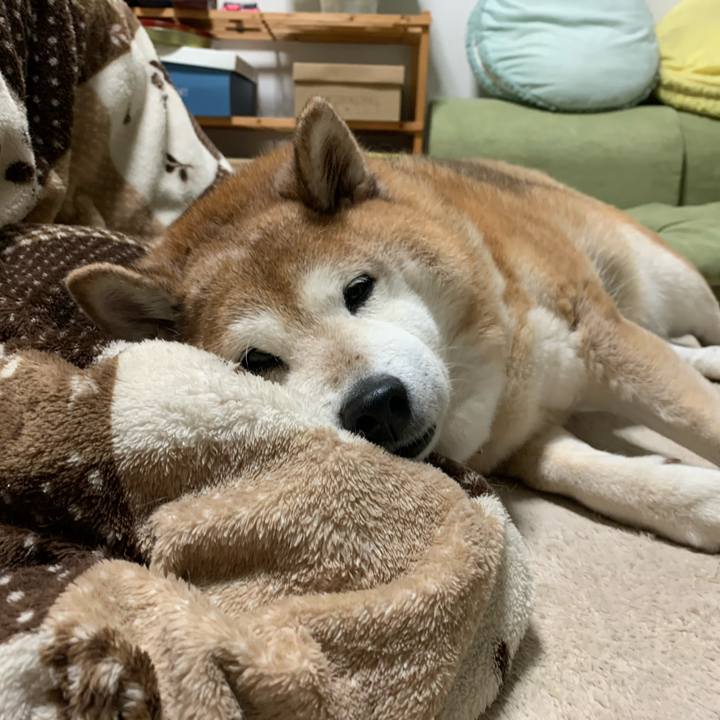 96760c65 6b3a 4838 a8fd 3ff33bc52e93 1577016029645