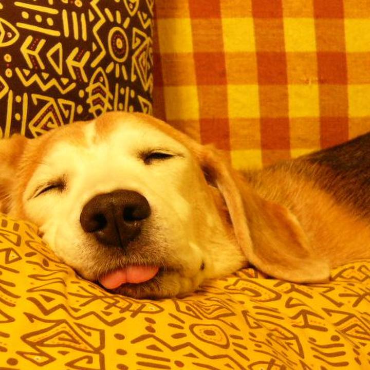 967613e7 132f 4e7d bdf4 c5259303a15f 1538996673353