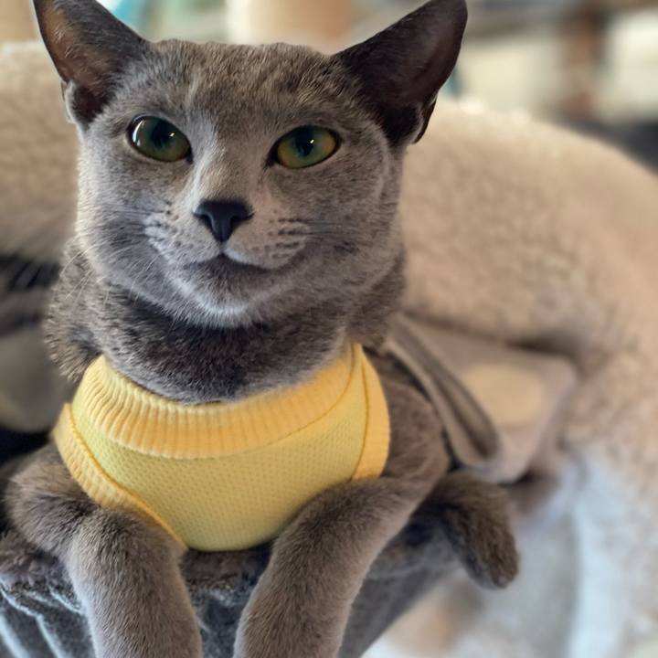 96763ae2 1765 440f 8746 afc3b91f8912 1608535810130