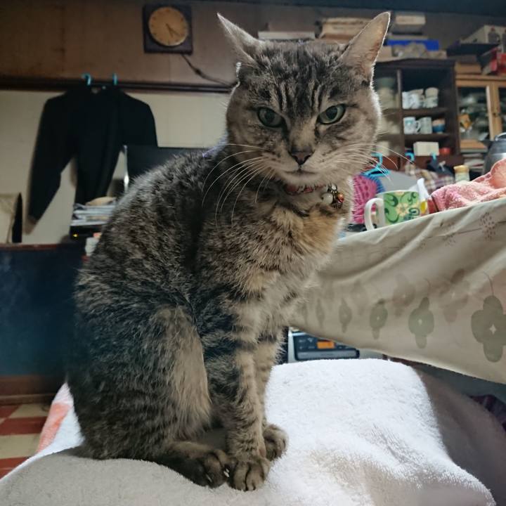 96767c57 6012 4649 a718 1819ca72557a 1585084877085