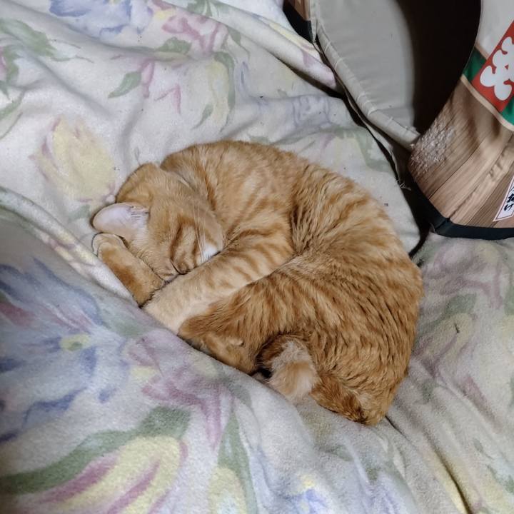 96768f23 3454 4b80 9bbd 2079d1dbf5a8 1681130806646