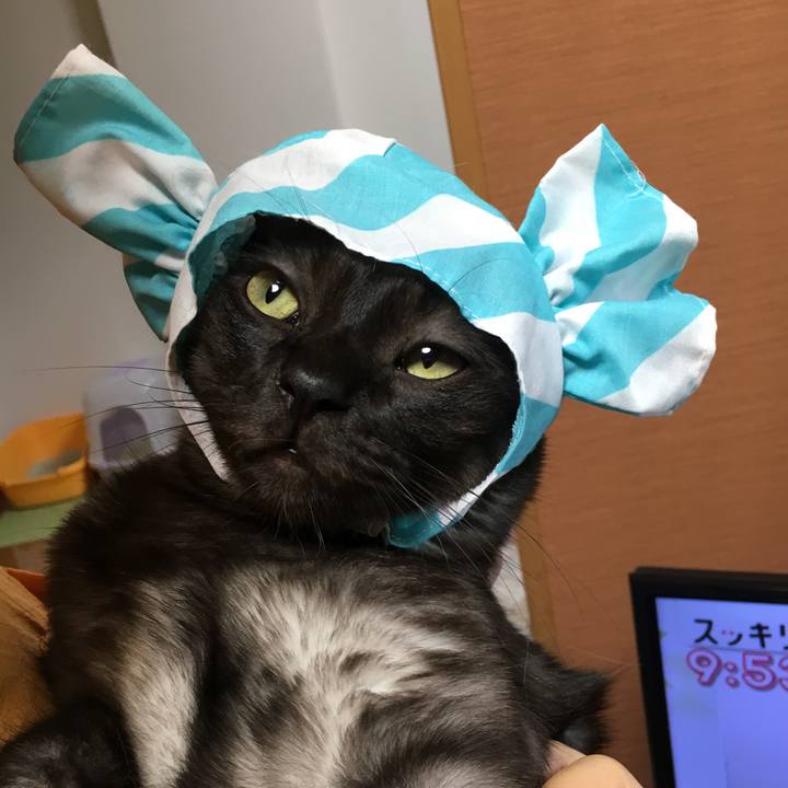 967695b9 0ee4 464b 8939 03fd59ccba72 1566445935226