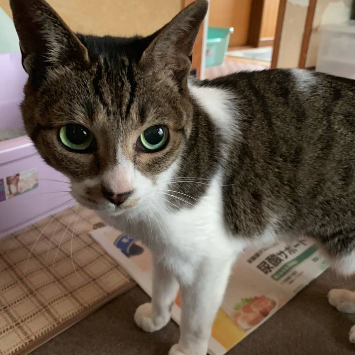 967697fa f345 41a5 a472 9f4c72f9724e 1556153696134