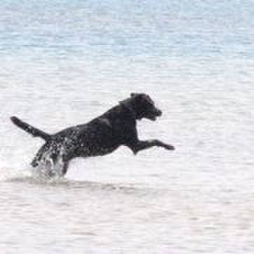 9676fee1 1826 4040 8950 9b97a3aced07 1717249921561