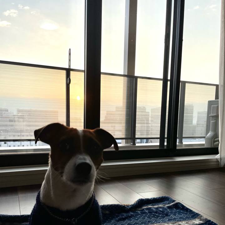 96775c18 8398 483d 8a8c cadd3b9fa587 1643322384600