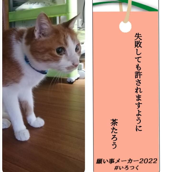 96777e42 ac67 4fb3 a04d d6ac124fd094 1657145991889