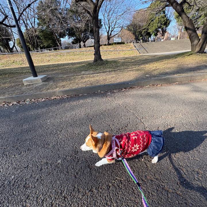 9677b834 c469 4ceb 89d8 ece935dd83c1 1768716298898