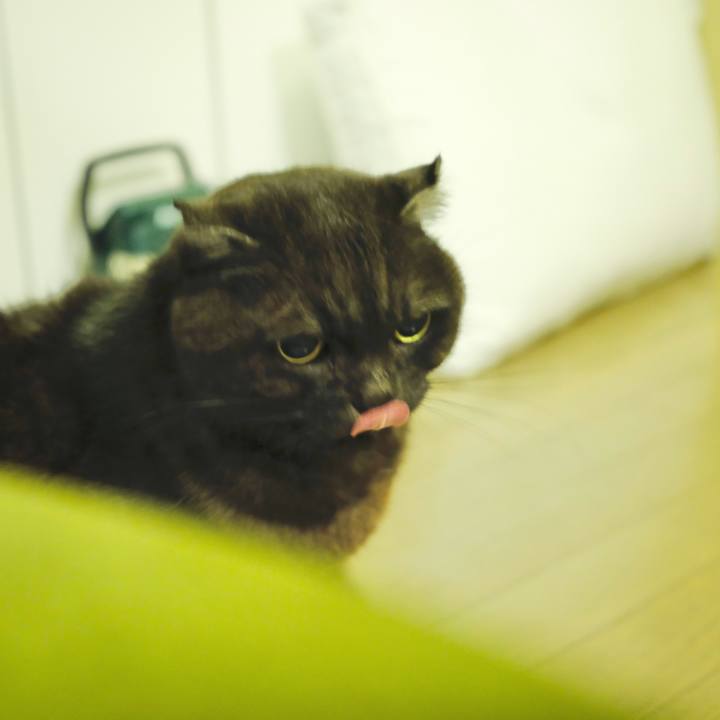 9677b9ed 9721 49ef b83a e63d6633d514 1642251916271