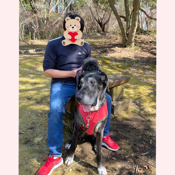 9677bb1c 278c 4b58 8f97 cbe6f9d948f4 1615699062375