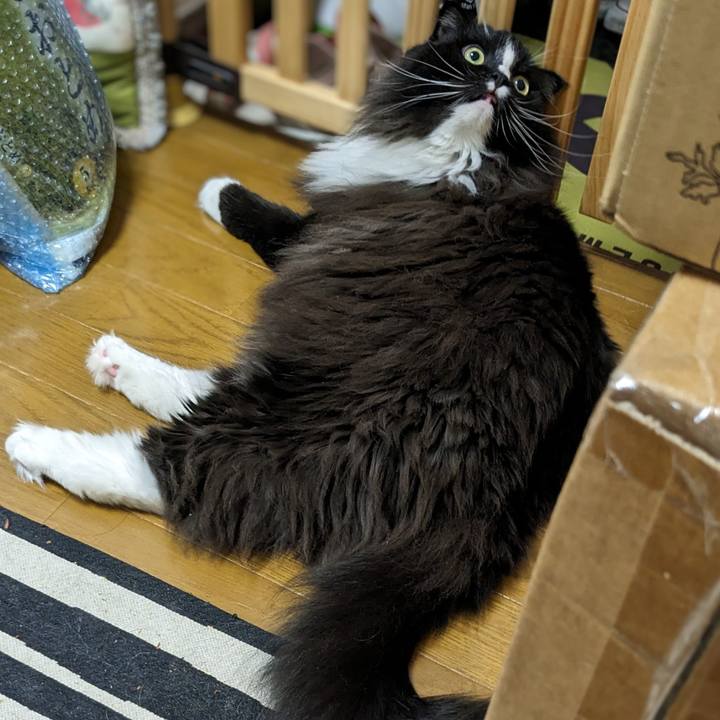 9677bf9c fd9b 413a 95c6 33d08e6e4ab2 1692064623250